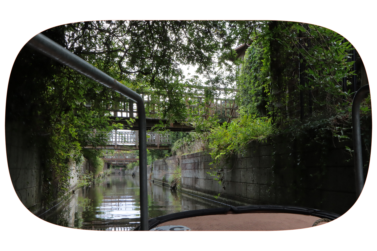 慶應義塾大学飯盛研究室スローシティプロジェクトの活動の様子